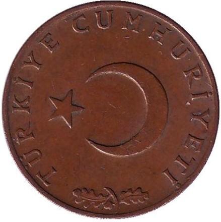 Монета 10 курушей. 1970 год, Турция. Из обращения. Стебли овса.