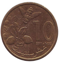 Монета 10 сантимов. 2011 год, Марокко. Пчела.