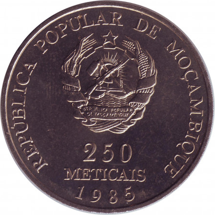 Монета 250 метикалов. 1985 год, Мозамбик. 10 лет независимости.