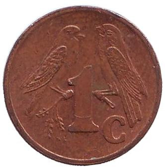 Монета 1 цент. 2000 год, ЮАР. (Новый тип) Южноафриканские (Капские) воробьи.