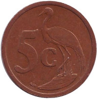 Монета 5 центов. 2004 год, Южная Африка. Африканская красавка. Монета 5 центов. 2004 год, Южная Африка. Африканская красавка.