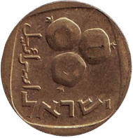 Монета 5 агор. 1973 год, Израиль. Гранат.