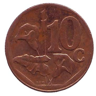 Монета 10 центов. 2013 год, Южная Африка. Лилия.