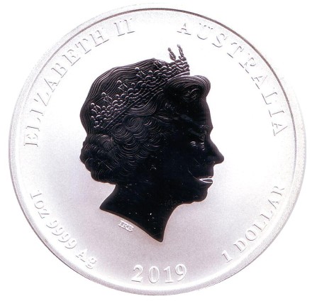 Монета 1 доллар. 2019 год, Австралия. Год свиньи.