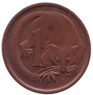 Монета 1 цент, 1973 год, Австралия. Карликовый летучий кускус. Монета 1 цент, 1973 год, Австралия. Карликовый летучий кускус.