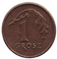 Монета 1 грош, 1991 год, Польша. Дубовый лист. Монета 1 грош, 1991 год, Польша. Дубовый лист.