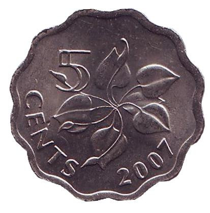 Монета 5 центов. 2007 год, Свазиленд. Орхидея.