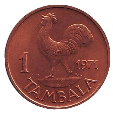 Монета 1 тамбала. 1971 год, Малави. aUNC. Петух.