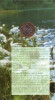 Монета 50 шиллингов. 1998 год, Австрия. 25 лет присуждению Нобелевской премии Конраду Лоренцу. В буклете. Монета 50 шиллингов. 1998 год, Австрия. 25 лет присуждению Нобелевской премии Конраду Лоренцу. В буклете.