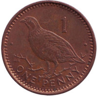 Берберская куропатка. Монета 1 пенни, 1988 год, Гибралтар. (AB)