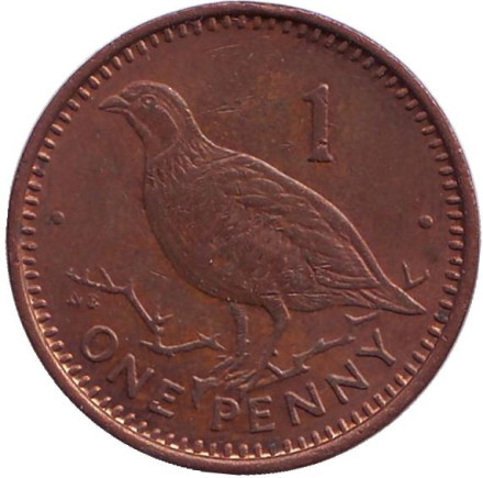 Монета 1 пенни, 1988 год, Гибралтар. (AB) Берберская куропатка.