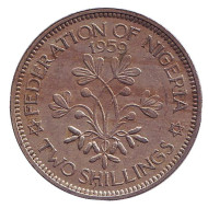 Монета 2 шиллинга. 1959 год, Нигерия. Монета 2 шиллинга. 1959 год, Нигерия.