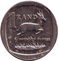 Монета 1 ранд. 2005 год, ЮАР. Газель.