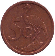 Монета 5 центов. 2006 год, Южная Африка. Африканская красавка. Монета 5 центов. 2006 год, Южная Африка. Африканская красавка.