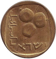 Монета 5 агор. 1974 год, Израиль. Гранат. Монета 5 агор. 1974 год, Израиль. Гранат.