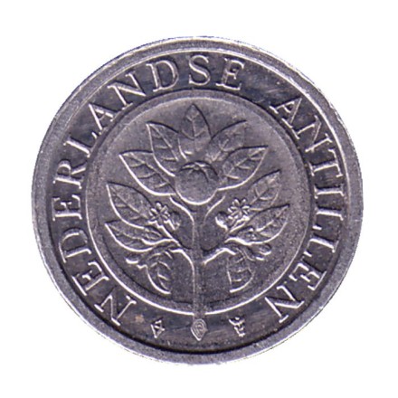 Монета 1 цент. 1999 год, Нидерландские Антильские острова. Цветок апельсинового дерева.