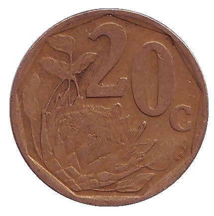 Монета 20 центов. 2000 год, ЮАР. (Новый тип) Цветок протея.