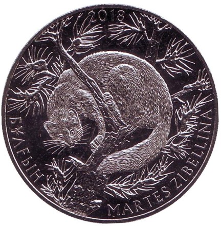 Монета 100 тенге. 2018 год, Казахстан. Соболь. Флора и фауна Казахстана. Монета 100 тенге. 2018 год, Казахстан. Соболь. Флора и фауна Казахстана.