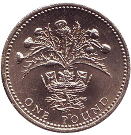 Монета 1 фунт. 1984 год, Великобритания. (XF). Чертополох.