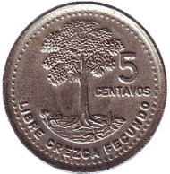 Монета 5 сентаво. 1992 год, Гватемала. Хлопковое дерево. Монета 5 сентаво. 1992 год, Гватемала. Хлопковое дерево.
