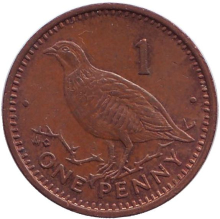 Монета 1 пенни, 1988 год, Гибралтар. (AС) Берберская куропатка.