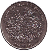 Монета 50 эскудо. 1994 год, Кабо-Верде. Цветы золотой маргаритки. Монета 50 эскудо. 1994 год, Кабо-Верде. Цветы золотой маргаритки.