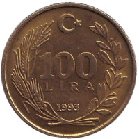 Монета 100 лир. 1993 год, Турция.