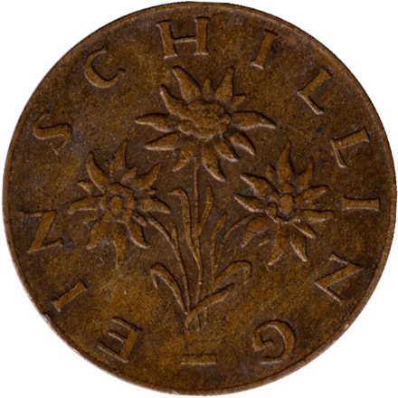 Монета 1 шиллинг. 1962 год, Австрия. Эдельвейс.