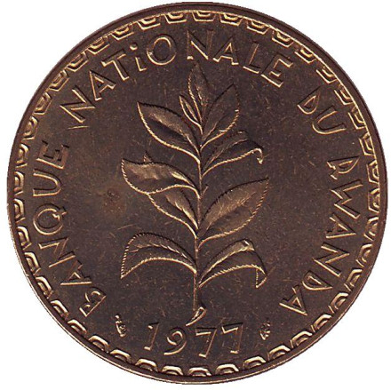 Монета 50 франков. 1977 год, Руанда. Росток зелёного чая.