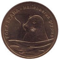 Монета 2 злотых, 2007 год, Польша. Длинномордый тюлень. Монета 2 злотых, 2007 год, Польша. Длинномордый тюлень.