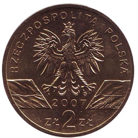 Монета 2 злотых, 2007 год, Польша. Длинномордый тюлень.