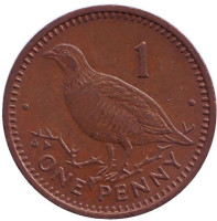 Берберская куропатка. Монета 1 пенни, 1988 год, Гибралтар. (AD)
