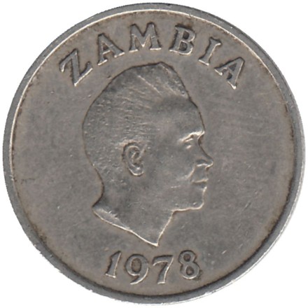 Монета 5 нгве. 1978 год, Замбия. Цветок "Дневная красавица".
