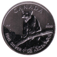 Монета 5 долларов, 2012 год, Канада. Пума. Монета 5 долларов, 2012 год, Канада. Пума.