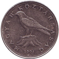 Сокол. (Балобан). Монета 50 форинтов. 2004 год, Венгрия.