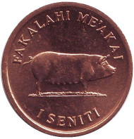 Монета 1 сенити. 1975 год, Тонга. Свинья. Монета 1 сенити. 1975 год, Тонга. Свинья.