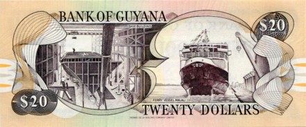 monetarus_banknote_Guyana_20dollarov_2009_2.jpg