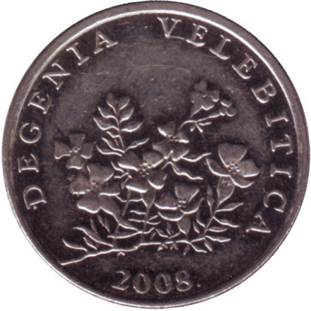 Монета 50 лип. 2008 год, Хорватия. Дегения велебитская.
