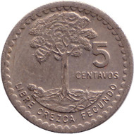 Монета 5 сентаво. 1976 год, Гватемала. Хлопковое дерево. Монета 5 сентаво. 1976 год, Гватемала. Хлопковое дерево.