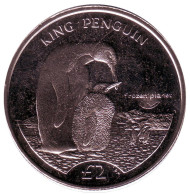 Монета 2 фунта, 2012 год, Южная Георгия и Южные Сандвичевы острова. Королевский пингвин. Монета 2 фунта, 2012 год, Южная Георгия и Южные Сандвичевы острова. Королевский пингвин.