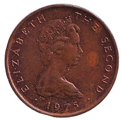 Монета 1/2 нового пенни. 1975 год, Остров Мэн. Цветущие сорняки. Монета 1/2 нового пенни. 1975 год, Остров Мэн. Цветущие сорняки.