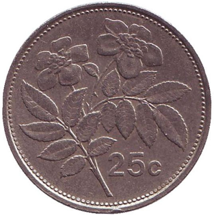Монета 25 центов. 1993 год, Мальта. Цветы.