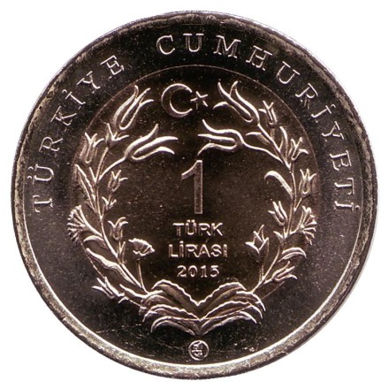 monetarus_Turkey_1lira_koza_2015_2.jpg