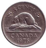 Монета 5 центов, 1976 год, Канада. Бобр. Монета 5 центов, 1976 год, Канада. Бобр.