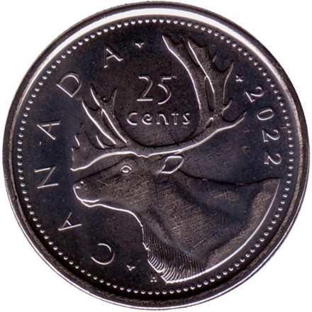 Монета 25 центов. 2022 год, Канада. Канадский олень (Карибу).