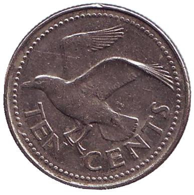 Монета 10 центов. 1998 год, Барбадос. Чайка.