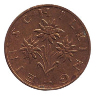 Монета 1 шиллинг. 1977 год, Австрия. Эдельвейс. Монета 1 шиллинг. 1977 год, Австрия. Эдельвейс.