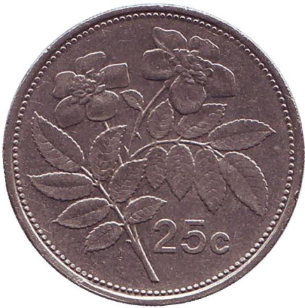 Монета 25 центов. 1995 год, Мальта. Цветы.
