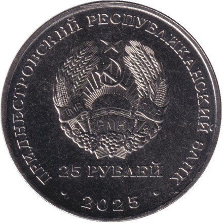 Монета 25 рублей. 2025 год, Приднестровье. День прав человека.