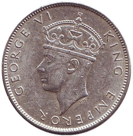 florin-12.jpg florin-12.jpg